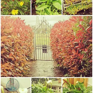 https://le-7-calle.it-tuscanyhotel.com
